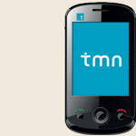 TMN Mini stone